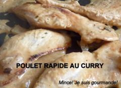 poulet_rapide_au_curry.JPG