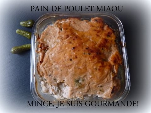 pain_de_poulet_A.JPG